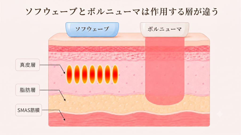 ソフウェーブとボルニューマは作用する層が違う